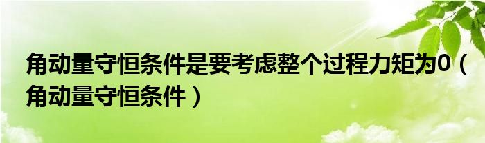 角动量守恒条件是要考虑整个过程力矩为0（角动量守恒条件）