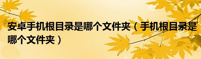 安卓手机根目录是哪个文件夹（手机根目录是哪个文件夹）