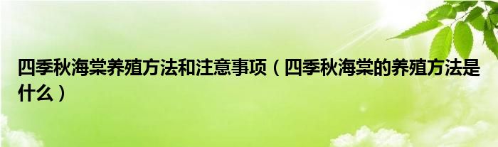 四季秋海棠养殖方法和注意事项（四季秋海棠的养殖方法是什么）