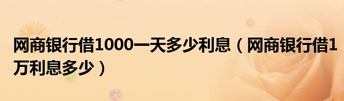 网商银行借1000一天多少利息（网商银行借1万利息多少）