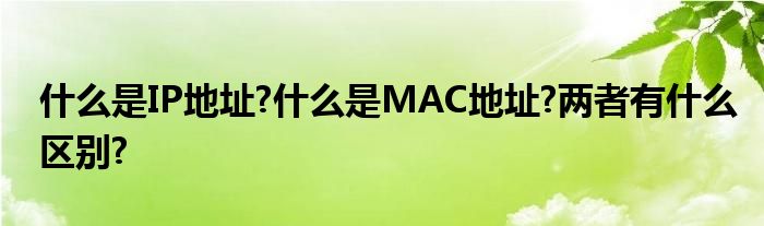 什么是IP地址?什么是MAC地址?两者有什么区别?