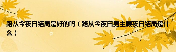 路从今夜白结局是好的吗（路从今夜白男主顾夜白结局是什么）