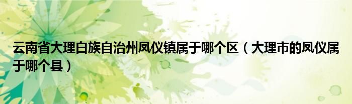 云南省大理白族自治州凤仪镇属于哪个区（大理市的凤仪属于哪个县）