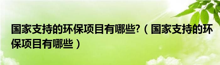 国家支持的环保项目有哪些?（国家支持的环保项目有哪些）