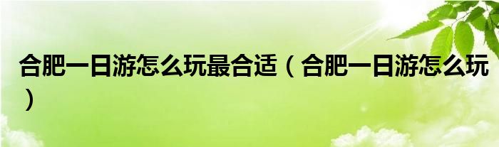 合肥一日游怎么玩最合适（合肥一日游怎么玩）