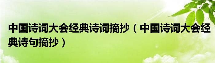 中国诗词大会经典诗词摘抄（中国诗词大会经典诗句摘抄）