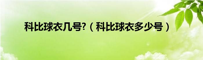 科比球衣几号?（科比球衣多少号）