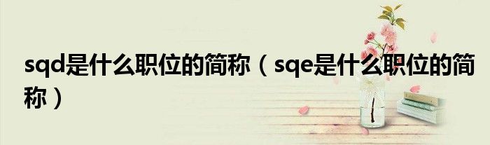 sqd是什么职位的简称（sqe是什么职位的简称）