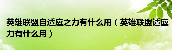 英雄联盟自适应之力有什么用（英雄联盟适应力有什么用）