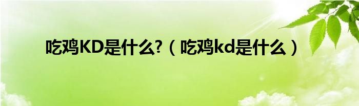 吃鸡KD是什么?（吃鸡kd是什么）