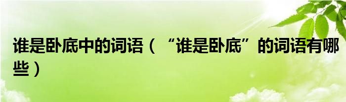 谁是卧底中的词语（“谁是卧底”的词语有哪些）