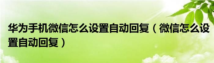 华为手机微信怎么设置自动回复（微信怎么设置自动回复）