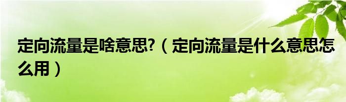 定向流量是啥意思?（定向流量是什么意思怎么用）