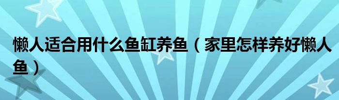 懒人适合用什么鱼缸养鱼（家里怎样养好懒人鱼）