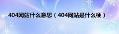 404网站什么意思（404网站是什么梗）