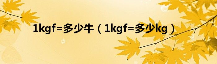 1kgf=多少牛（1kgf=多少kg）