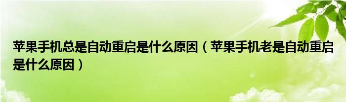 苹果手机总是自动重启是什么原因（苹果手机老是自动重启是什么原因）