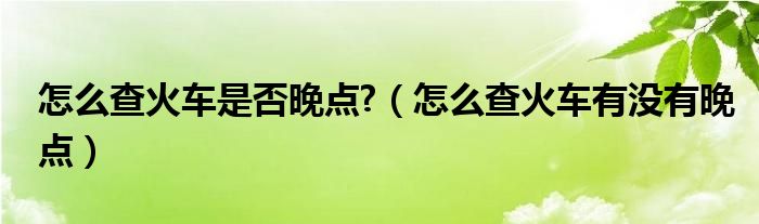 怎么查火车是否晚点?（怎么查火车有没有晚点）