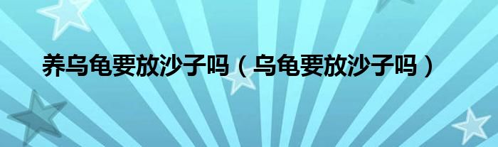 养乌龟要放沙子吗（乌龟要放沙子吗）