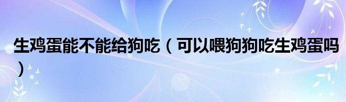 生鸡蛋能不能给狗吃（可以喂狗狗吃生鸡蛋吗）