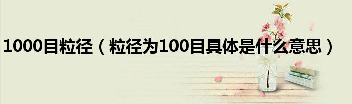 1000目粒径（粒径为100目具体是什么意思）