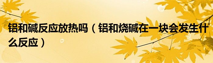 铝和碱反应放热吗（铝和烧碱在一块会发生什么反应）