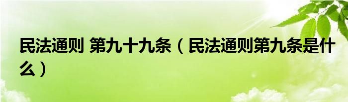 民法通则 第九十九条（民法通则第九条是什么）