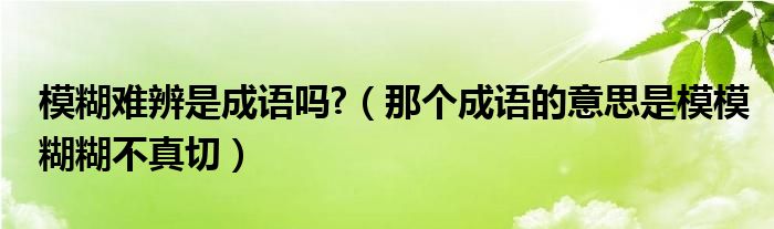 模糊难辨是成语吗?（那个成语的意思是模模糊糊不真切）