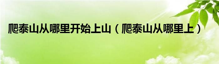 爬泰山从哪里开始上山（爬泰山从哪里上）