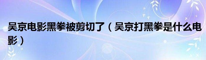 吴京电影黑拳被剪切了（吴京打黑拳是什么电影）