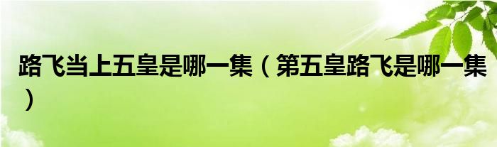 路飞当上五皇是哪一集（第五皇路飞是哪一集）