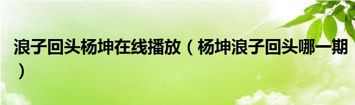 浪子回头杨坤在线播放（杨坤浪子回头哪一期）