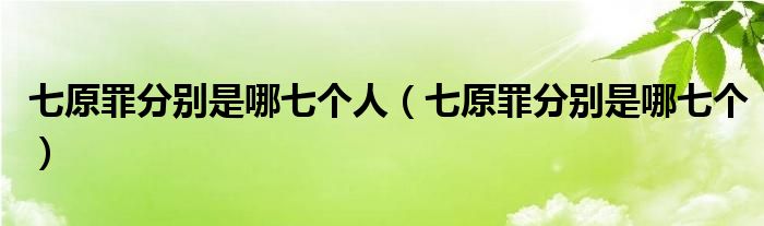 七原罪分别是哪七个人（七原罪分别是哪七个）