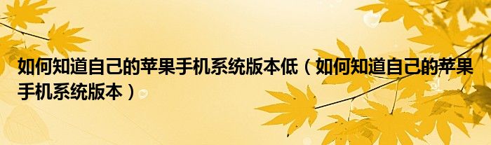 如何知道自己的苹果手机系统版本低（如何知道自己的苹果手机系统版本）