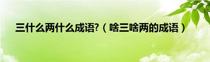 三什么两什么成语?（啥三啥两的成语）