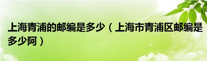 上海青浦的邮编是多少（上海市青浦区邮编是多少阿）