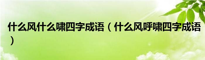 什么风什么啸四字成语（什么风呼啸四字成语）