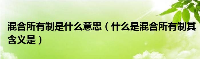 混合所有制是什么意思（什么是混合所有制其含义是）