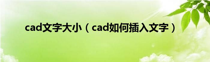 cad文字大小（cad如何插入文字）