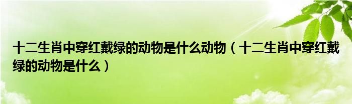 十二生肖中穿红戴绿的动物是什么动物（十二生肖中穿红戴绿的动物是什么）