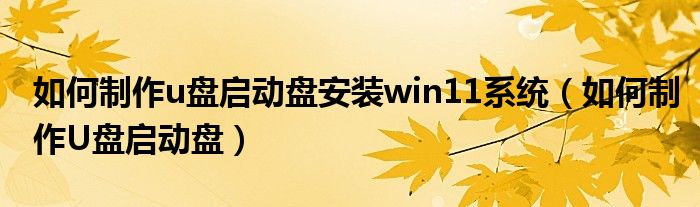 如何制作u盘启动盘安装win11系统（如何制作U盘启动盘）