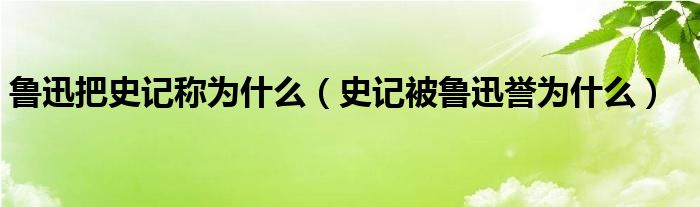 鲁迅把史记称为什么（史记被鲁迅誉为什么）