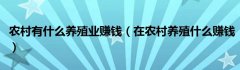 农村有什么养殖业赚钱（在农村养殖什么赚钱）