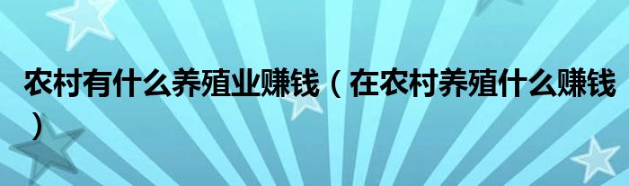 农村有什么养殖业赚钱（在农村养殖什么赚钱）