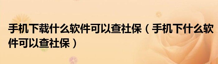 手机下载什么软件可以查社保（手机下什么软件可以查社保）