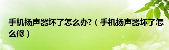 手机扬声器坏了怎么办?（手机扬声器坏了怎么修）