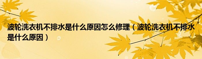 波轮洗衣机不排水是什么原因怎么修理（波轮洗衣机不排水是什么原因）