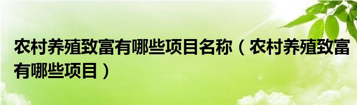 农村养殖致富有哪些项目名称（农村养殖致富有哪些项目）