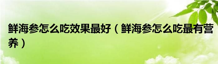 鲜海参怎么吃效果最好（鲜海参怎么吃最有营养）