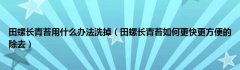 田螺长青苔用什么办法洗掉（田螺长青苔如何更快更方便的除去）